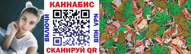 Марихуана план Кизляр